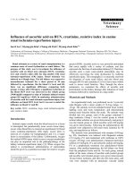 Báo cáo khoa học: 