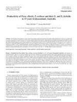 Báo cáo lâm nghiệp: 