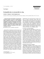 Báo cáo khoa học: 