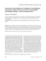 Báo cáo lâm nghiệp: 