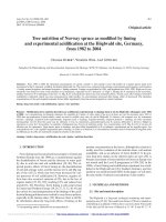 Báo cáo lâm nghiệp: 