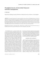 Báo cáo lâm nghiệp: 