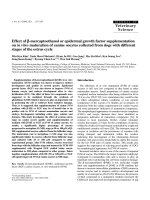 Báo cáo khoa học: 