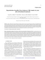 Báo cáo lâm nghiệp: 