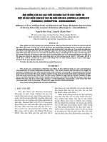 Báo cáo nông nghiệp: 