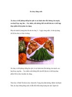 Ăn chay đúng cách docx