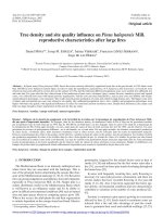 Báo cáo lâm nghiệp: 