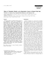 Báo cáo khoa học: 