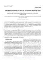 Báo cáo lâm nghiệp: 