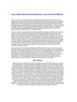 How to Make Money Shorting Stocks in Up and Down Markets pps