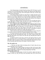 Quản trị rủi ro bằng mô hình var và phương pháp sử dụng copula điều kiện