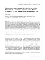 Báo cáo lâm nghiệp: 