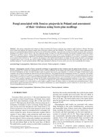 Báo cáo lâm nghiệp: 