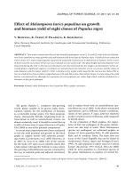 Báo cáo lâm nghiệp: 