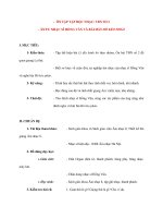 Giáo án Âm Nhạc lớp 8: ÔN TẬP TẬP ĐỌC NHẠC: TĐN SỐ 2 pps