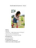 Sáng kinh nghiệm môn đạo đức lớp 3 – trồng cây doc