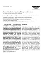 Báo cáo khoa học: 