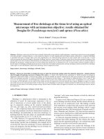 Báo cáo lâm nghiệp: 