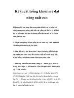 Kỹ thuật trồng khoai mỳ đạt năng suất cao docx