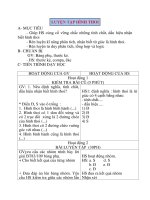 Giáo án Hình Học lớp 8: LUYỆN TẬP HÌNH THOI ppsx