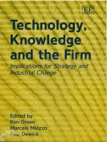 Technology, Knowledge and the Firm Implications for Strategy and Industrial Change PHẦN 1 pdf