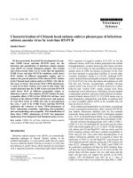 Báo cáo khoa học: 