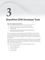 Wrox Beginning SharePoint 2010 Development phần 3 ppt