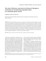 Báo cáo lâm nghiệp: 