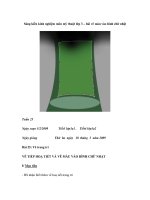 Sáng kiến kinh nghiệm môn mỹ thuật lớp 3 – bài vẽ màu vào hình chữ nhật doc