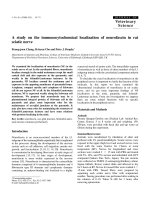 Báo cáo khoa học: 