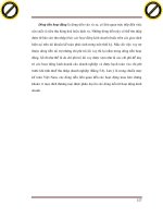 Giáo trình phân tích ứng dụng nguyên lý dãy số lập trình vòng quay với các tỷ số tài chính p2 pptx