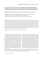 Báo cáo lâm nghiệp: 