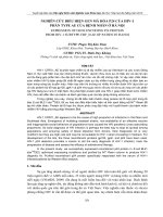 NGHIÊN CỨU BIỂU HIỆN GEN MÃ HÓA P24 CỦA HIV-1 PHÂN TYPE AE CỦA BỆNH NHÂN Ở HÀ NỘI EXPRESSION OF GENE ENCODING P24 ppt