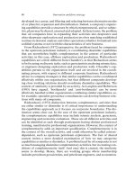 Technology, Knowledge and the Firm Implications for Strategy and Industrial Change PHẦN 4 doc