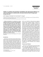 Báo cáo khoa học: 