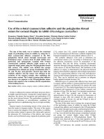 Báo cáo khoa học: 