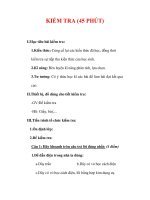 Giáo án Công nghệ lớp 9 : Tên bài dạy : KIỂM TRA (45 PHÚT) potx