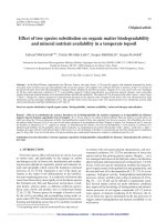 Báo cáo lâm nghiệp: 