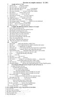 Exercises on complex sentences -12- 2011 pdf