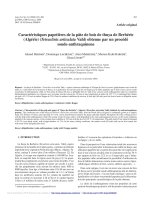 Báo cáo lâm nghiệp: 