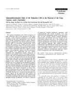 Báo cáo khoa học: 