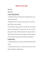 Giáo án Công dân lớp 7 : Tên bài dạy : SỐNG GIẢN DỊ docx