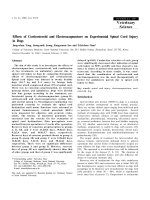 Báo cáo khoa học: 