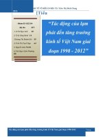 Tiểu luận: KINH TẾ VĨ MÔ Tác động của lạm phát đến tăng trưởng kinh tế Việt Nam giai đoạn 1998  2012