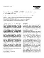 Báo cáo khoa học: 