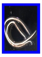 Bài giảng chẩn đoán và điều trị Viêm màng não part 9 pdf