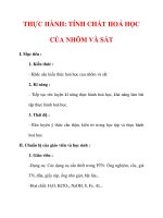 Giáo án Hóa học lớp 9 : Tên bài dạy : THỰC HÀNH: TÍNH CHẤT HOÁ HỌC CỦA NHÔM VÀ SẮT pdf