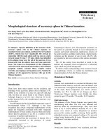 Báo cáo khoa học: 