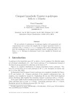 Báo cáo toán học: 