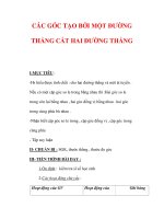 Giáo án môn Toán lớp 7 : Tên bài dạy : CÁC GÓC TẠO BỞI MỘT ĐƯỜNG THẲNG CẮT HAI ĐƯỜNG THẲNG ppsx